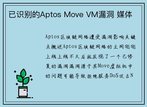 已识别的Aptos Move VM漏洞 媒体